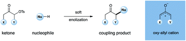 Graphical abstract: Development of a generic activation mode: nucleophilic α-substitution of ketones via oxy-allyl cations