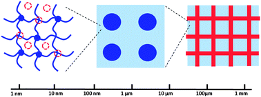 Graphical abstract: Multi-scale multi-mechanism design of tough hydrogels: building dissipation into stretchy networks