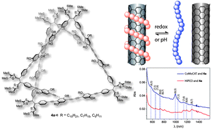 Graphical abstract: Conformationally switchable TTFV–phenylacetylene polymers: synthesis, properties, and supramolecular interactions with single-walled carbon nanotubes