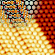 Graphical abstract: Supramolecular self-assembly of brominated molecules on a silicon surface