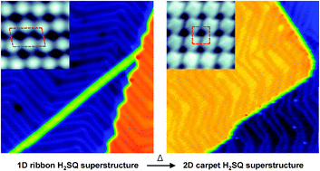 Graphical abstract: Thermally activated polymorphic transition from a 1D ribbon to a 2D carpet: squaric acid on Au(111)