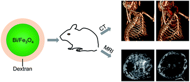 Graphical abstract: Dextran coated bismuth–iron oxide nanohybrid contrast agents for computed tomography and magnetic resonance imaging