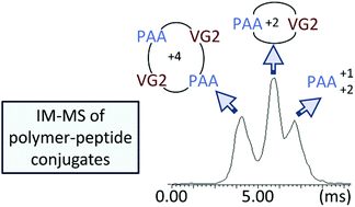 Graphical abstract: Top-down mass spectrometry of hybrid materials with hydrophobic peptide and hydrophilic or hydrophobic polymer blocks