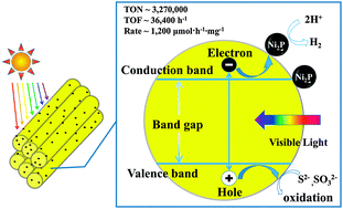 Graphical abstract: Extraordinarily efficient photocatalytic hydrogen evolution in water using semiconductor nanorods integrated with crystalline Ni2P cocatalysts