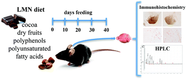 Graphical abstract: Catecholaminergic and cholinergic systems of mouse brain are modulated by LMN diet, rich in theobromine, polyphenols and polyunsaturated fatty acids