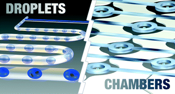 Graphical abstract: Single cells in confined volumes: microchambers and microdroplets