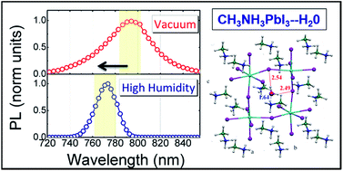 Graphical abstract: CH3NH3PbI3 perovskite single crystals: surface photophysics and their interaction with the environment