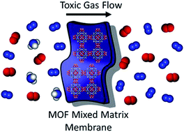 Graphical abstract: Enhanced aging properties of HKUST-1 in hydrophobic mixed-matrix membranes for ammonia adsorption