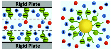 Graphical abstract: Polyelectrolyte brushes: theory, modelling, synthesis and applications