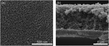 Graphical abstract: Improving the stability and selectivity for the oxygen-evolution reaction on semiconducting WO3 photoelectrodes with a solid-state FeOOH catalyst