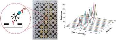 Graphical abstract: Dengue diagnosis on laser printed microzones using smartphone-based detection and multivariate image analysis