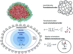 Graphical abstract: Exploration of the presence of bulk-like water in AOT reverse micelles and water-in-oil nanodroplets: the role of charged interfaces, confinement size and properties of water