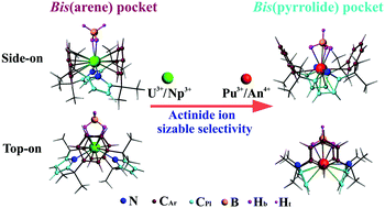 Graphical abstract: Theoretical investigation of low-valent uranium and transuranium complexes of a flexible small-cavity macrocycle: structural, formation reaction and redox properties