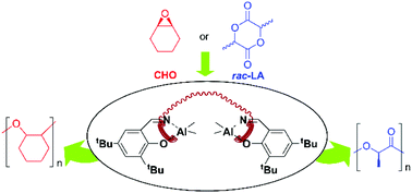 Graphical abstract: Bimetallic salen aluminum complexes: cooperation between reactive centers in the ring-opening polymerization of lactides and epoxides