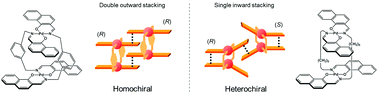 Graphical abstract: Homochiral association of binuclear trans-bis(β-iminoaryloxy)palladium(ii) complexes doubly linked with m-xylylene spacers: drastic linker-dependence of the association chirality of chiral clothespin-shaped molecules