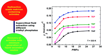 Graphical abstract: Experimental determination and model correlation for the solubilities of trialkyl phosphates in supercritical carbon dioxide