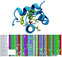 Graphical abstract: Protein thermostability engineering