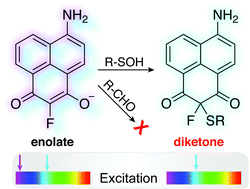 Graphical abstract: Chemoselective ratiometric imaging of protein S-sulfenylation