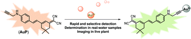 Graphical abstract: Monitoring of Au(iii) species in plants using a selective fluorescent probe