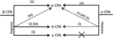 Graphical abstract: Polymorphism of chlorpropamide on liquid-assisted mechanical treatment: choice of liquid and type of mechanical treatment matter