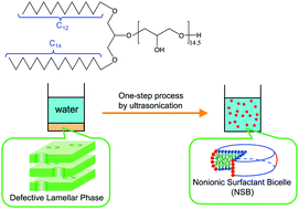 Graphical abstract: One-step formulation of nonionic surfactant bicelles (NSBs) by a double-tailed polyglycerol-type nonionic surfactant