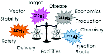 Graphical abstract: Comparative studies on the therapeutic benefit of targeted α-particle radiation therapy for the treatment of disseminated intraperitoneal disease