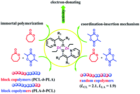 Graphical abstract: β-Pyridylenolate zinc catalysts for the ring-opening homo- and copolymerization of ε-caprolactone and lactides