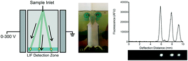 Graphical abstract: Micro free flow electrophoresis