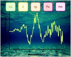 Graphical abstract: Focus on speciation assessment in marine radiochemistry using X-ray absorption spectroscopy