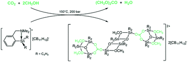 Graphical abstract: Triorganotin(iv) cation-promoted dimethyl carbonate synthesis from CO2 and methanol: solution and solid-state characterization of an unexpected diorganotin(iv)-oxo cluster