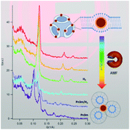 Graphical abstract: On the thermotropic and magnetotropic phase behavior of lipid liquid crystals containing magnetic nanoparticles