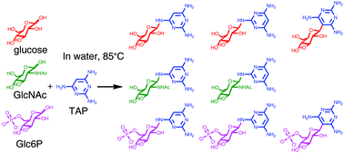 Graphical abstract: Glycosylation of a model proto-RNA nucleobase with non-ribose sugars: implications for the prebiotic synthesis of nucleosides