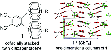 Graphical abstract: Synthesis and properties of a twin donor molecule composed of cofacially stacked dihydrodiazapentacenes