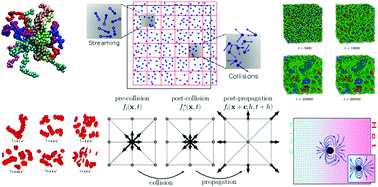 Graphical abstract: Mesoscopic modelling and simulation of soft matter