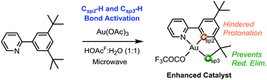 Graphical abstract: Synthesis of a (N,C,C) Au(iii) pincer complex via Csp3–H bond activation: increasing catalyst robustness by rational catalyst design