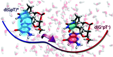 Graphical abstract: Exploring ultraviolet photoinduced charge-transfer dynamics in a model dinucleotide of guanine and thymine