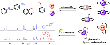 Graphical abstract: Photoswitchable transition metal complexes with azobenzene-functionalized imine-based ligands: structural and kinetic analysis