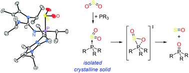 Graphical abstract: Crystalline, room-temperature stable phosphine–SO2 adducts: generation of sulfur monoxide from sulfur dioxide