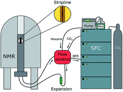 Graphical abstract: Characterising polar compounds using supercritical fluid chromatography–nuclear magnetic resonance spectroscopy (SFC–NMR)