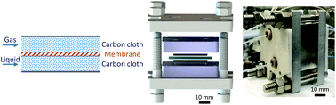 Graphical abstract: Scalable thin-layer membrane reactor for heterogeneous and homogeneous catalytic gas–liquid reactions