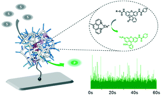 Graphical abstract: Catalytic single-chain polymeric nanoparticles at work: from ensemble towards single-particle kinetics