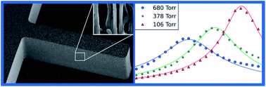 Graphical abstract: High surface-area carbon microcantilevers