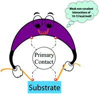 Graphical abstract: A quantification scheme for non-covalent interactions in the enantio-controlling transition states in asymmetric catalysis