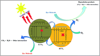 Graphical abstract: Visible light assisted photocatalytic degradation of crystal violet dye and electrochemical detection of ascorbic acid using a BiVO4/FeVO4 heterojunction composite