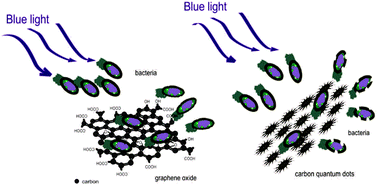 Graphical abstract: Photo-induced antibacterial activity of four graphene based nanomaterials on a wide range of bacteria