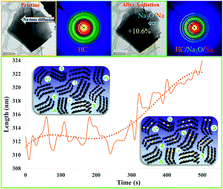 Graphical abstract: Sodium storage in hard carbon with curved graphene platelets as the basic structural units