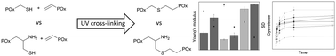 Graphical abstract: Influence of charged groups on the cross-linking efficiency and release of guest molecules from thiol–ene cross-linked poly(2-oxazoline) hydrogels