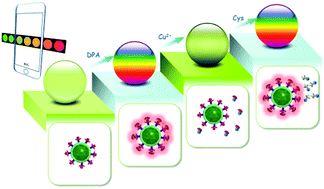 Graphical abstract: A lanthanide-based magnetic nanosensor as an erasable and visible platform for multi-color point-of-care detection of multiple targets and the potential application by smartphone