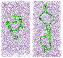 Graphical abstract: Understanding hydrogelation processes through molecular dynamics