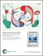 Graphical abstract: Back cover